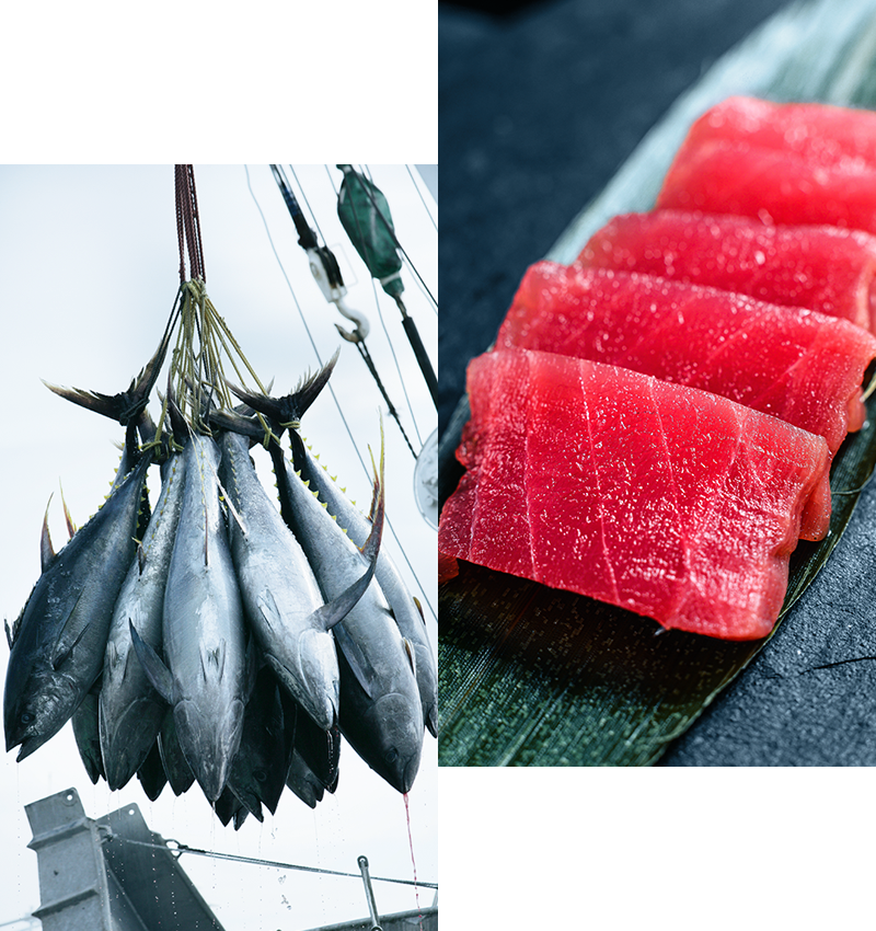 世界の海と 日本の食卓をつなぐ